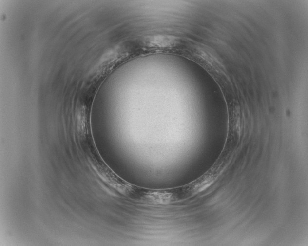 X0000059070328200510172011