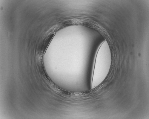 X0000059070329200510172011