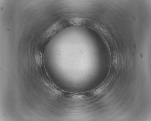 X0000059070332200510172010