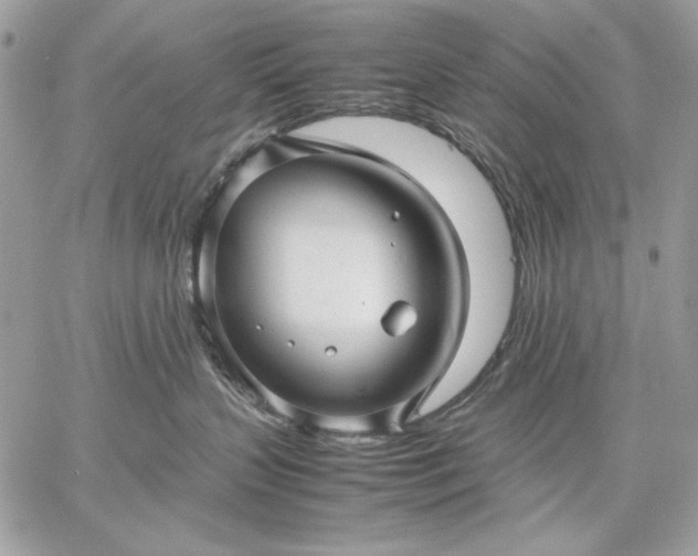 X0000059070383200510172010