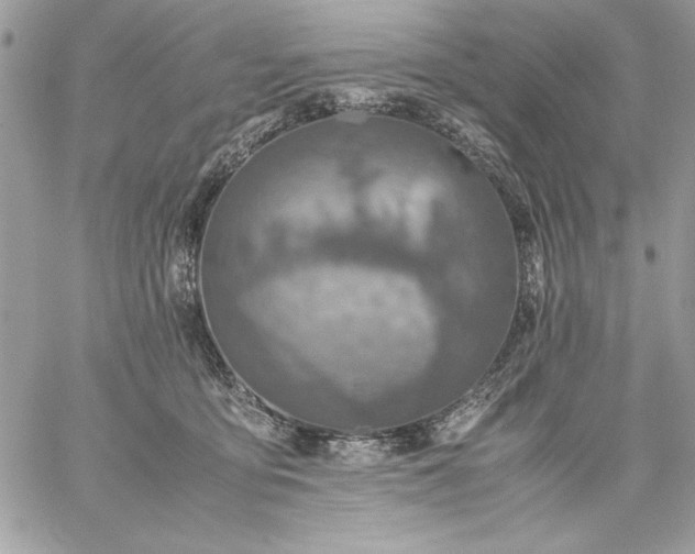 X0000059070419200510172009