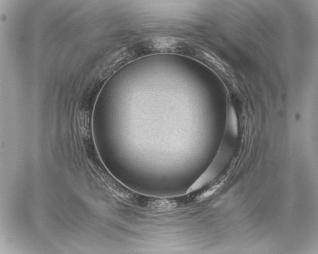 X0000059070421200510172009