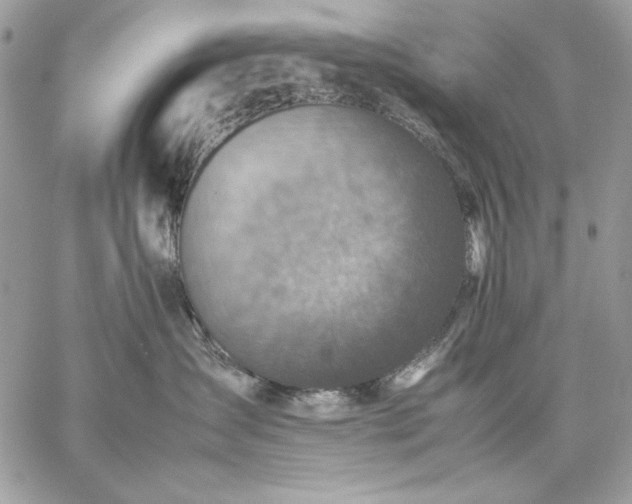 X0000059070431200510172009