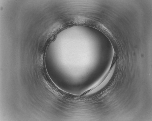 X0000059070454200510172008