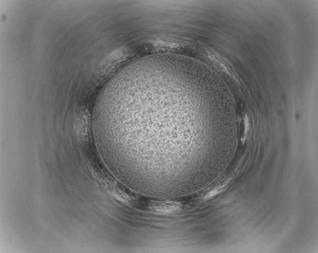 X0000059070463200510172009