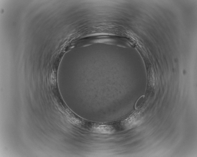 X0000059070467200510172009
