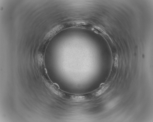 X0000059070476200510172009