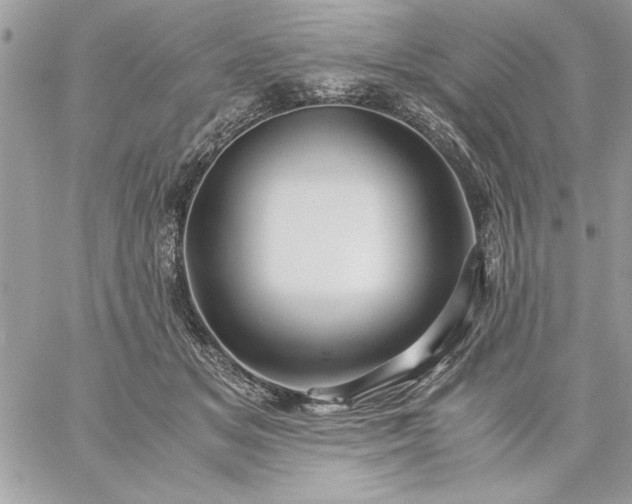 X0000059070509200510172008