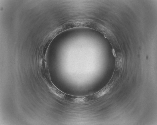 X0000059070574200510172007