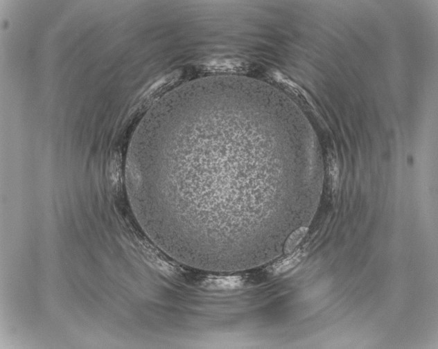 X0000059070665200510172006