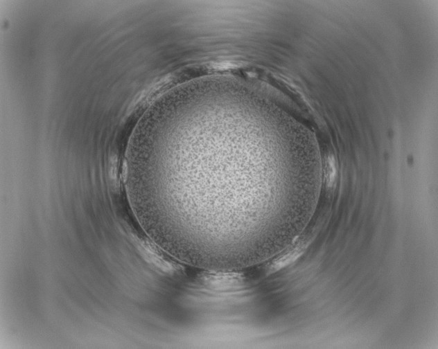 X0000059070670200510172006