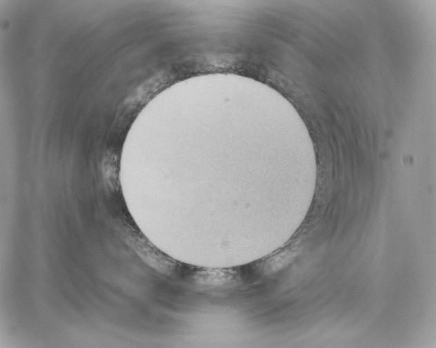 X0000059070672200510172006