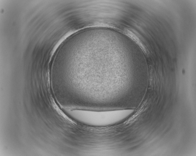 X0000059071092200510171958