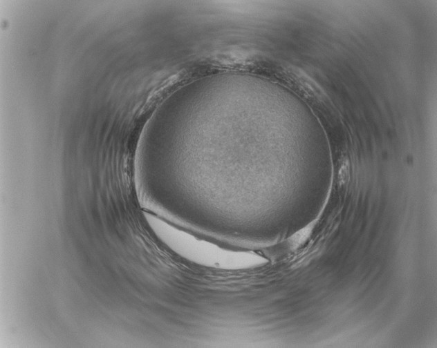 X0000059071156200510171957