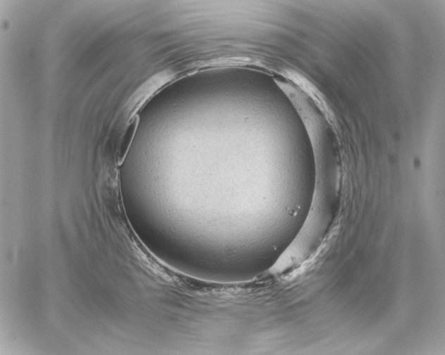 X0000059071193200510171956