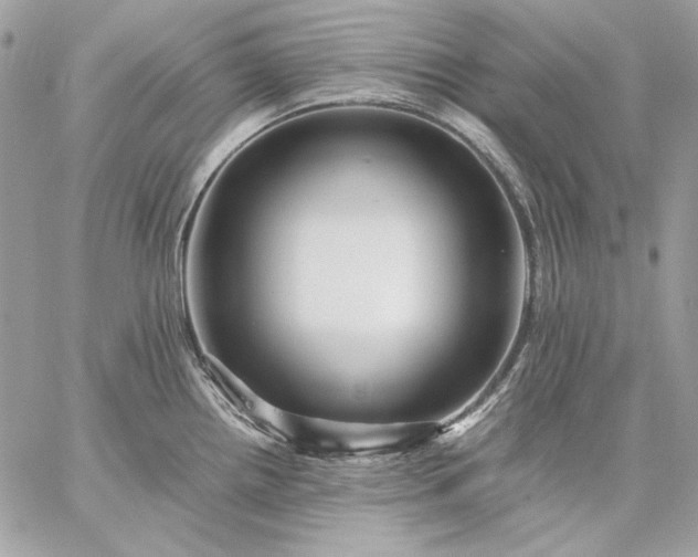 X0000059071242200510171956