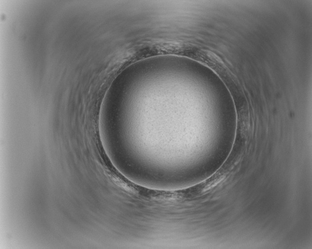 X0000059071345200510171954