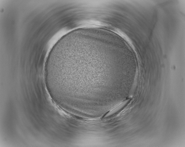 X0000059071488200510171952