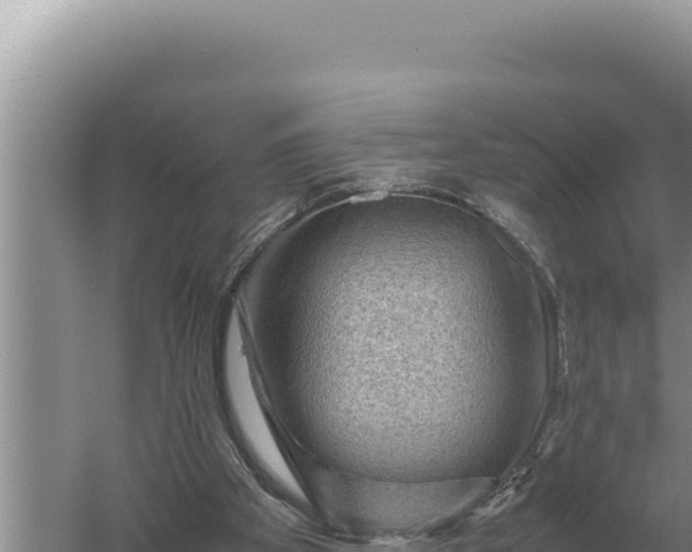 X0000059070105200510212103