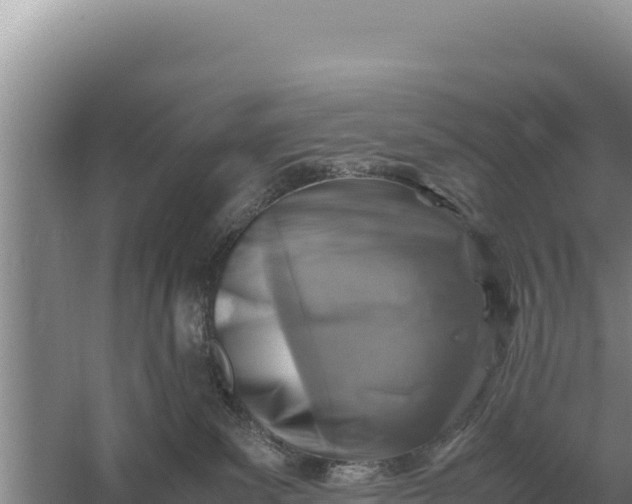 X0000059070139200510212103