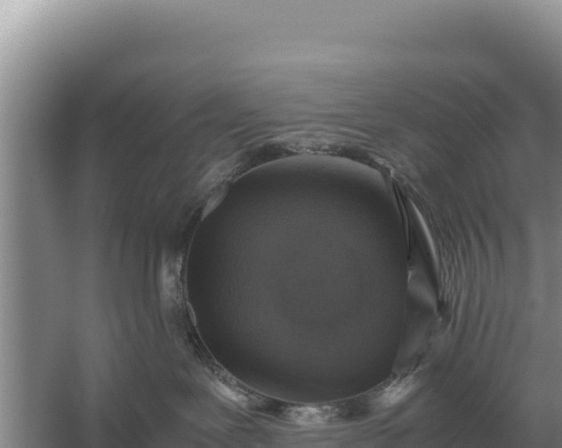 X0000059070239200510212101