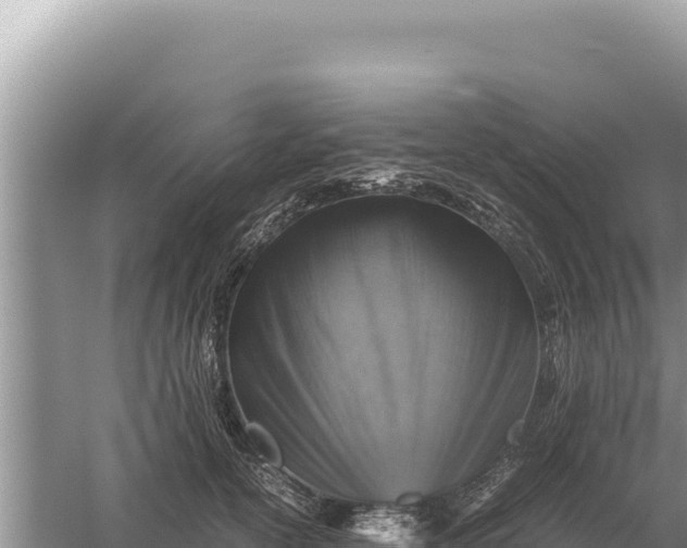X0000059070754200510212052