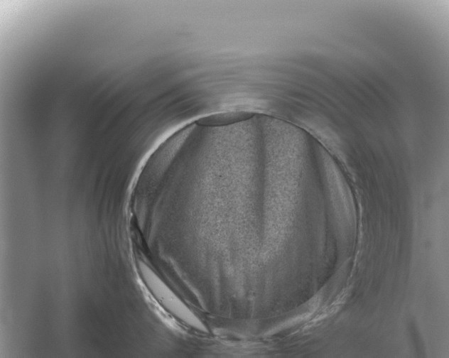 X0000059070816200510212051
