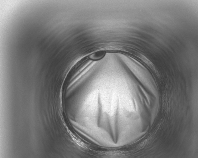 X0000059070988200510212048