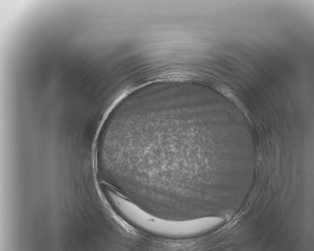 X0000059071083200510212047