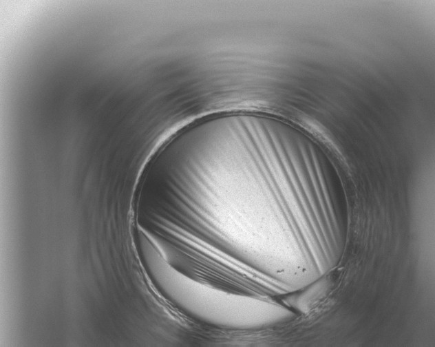 X0000059071332200510212043