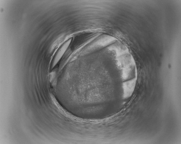 X0000059070002200510281710