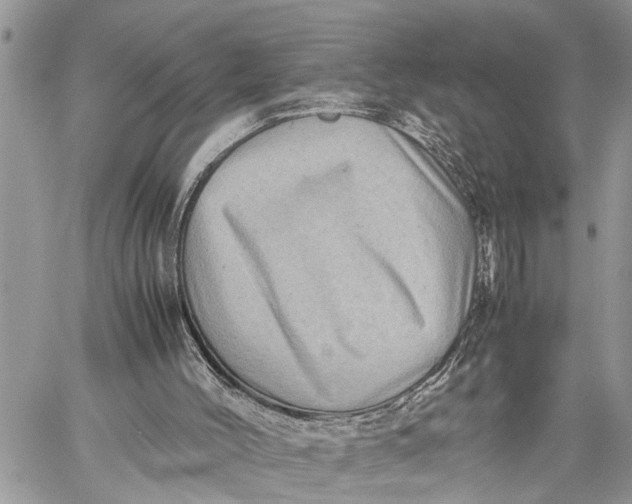 X0000059070004200510281710