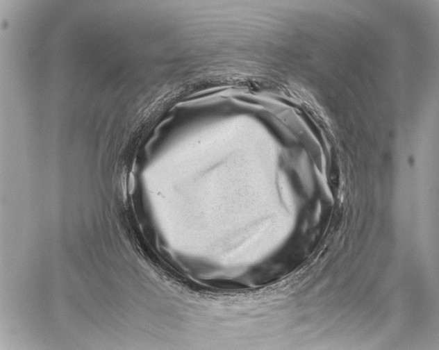 X0000059070021200510281709