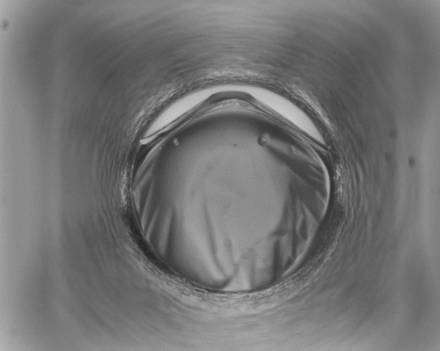 X0000059070023200510281709