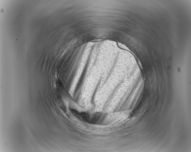 X0000059070044200510281709