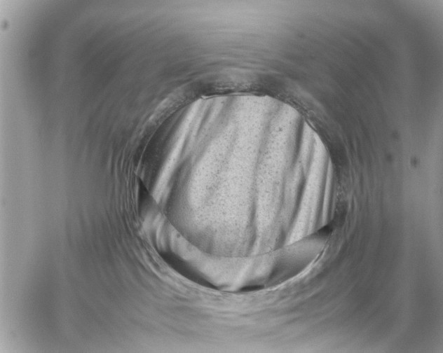 X0000059070045200510281709