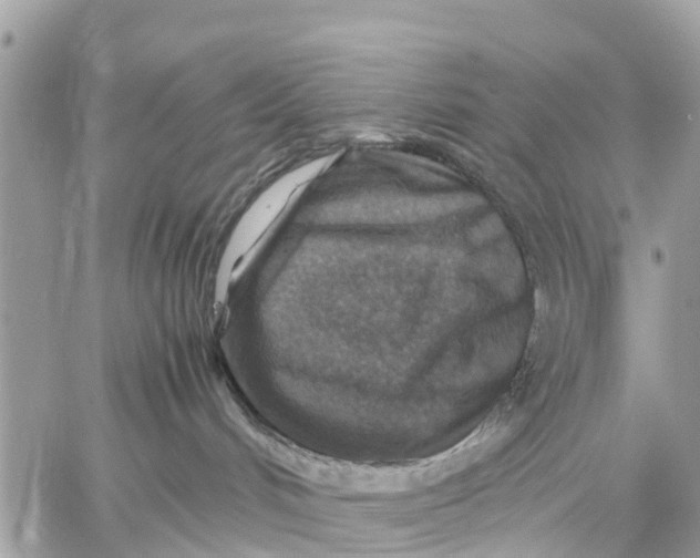 X0000059070048200510281709