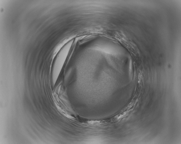 X0000059070052200510281708