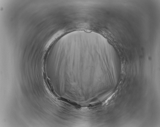 X0000059070054200510281708