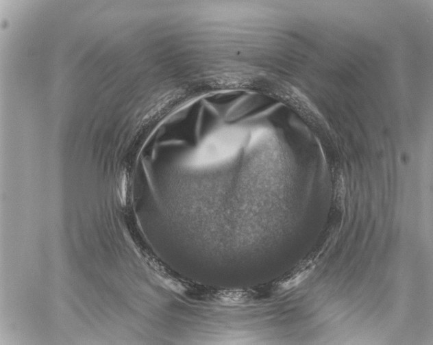 X0000059070076200510281708