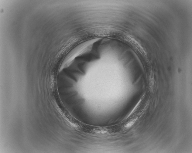 X0000059070113200510281708