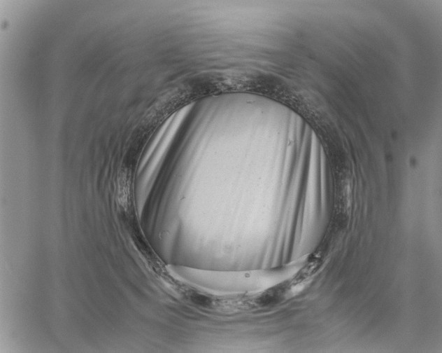X0000059070129200510281707