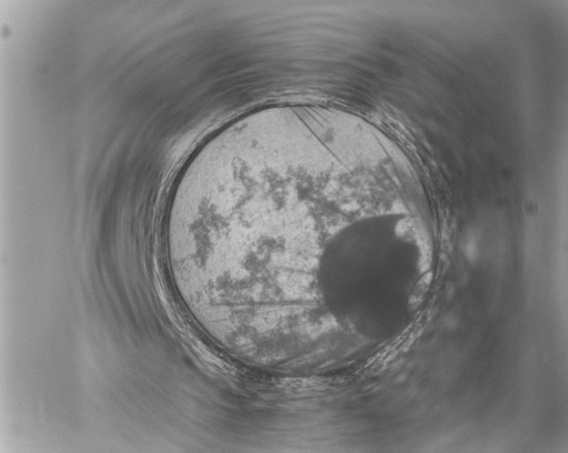 X0000059070145200510281706