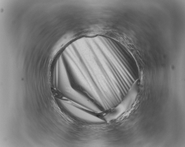 X0000059070150200510281707