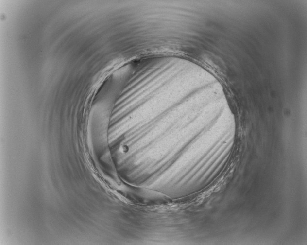 X0000059070193200510281706