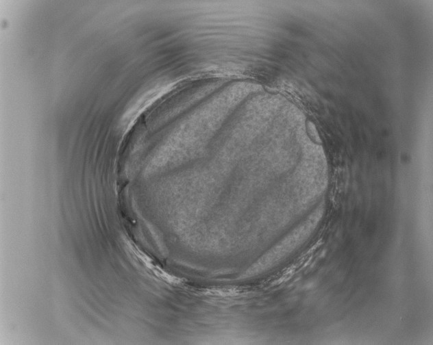 X0000059070194200510281706