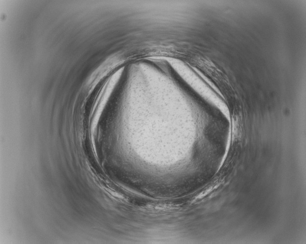 X0000059070291200510281705