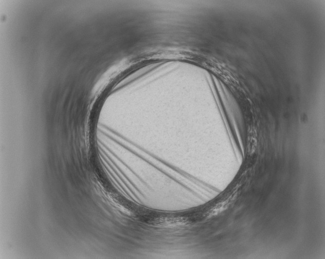 X0000059070296200510281705
