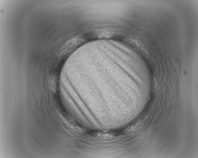 X0000059070311200510281704