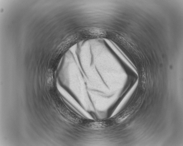 X0000059070320200510281704